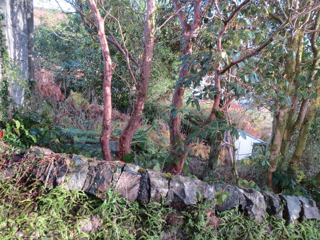 Elmbank Garden Apartment Oban Kamer foto