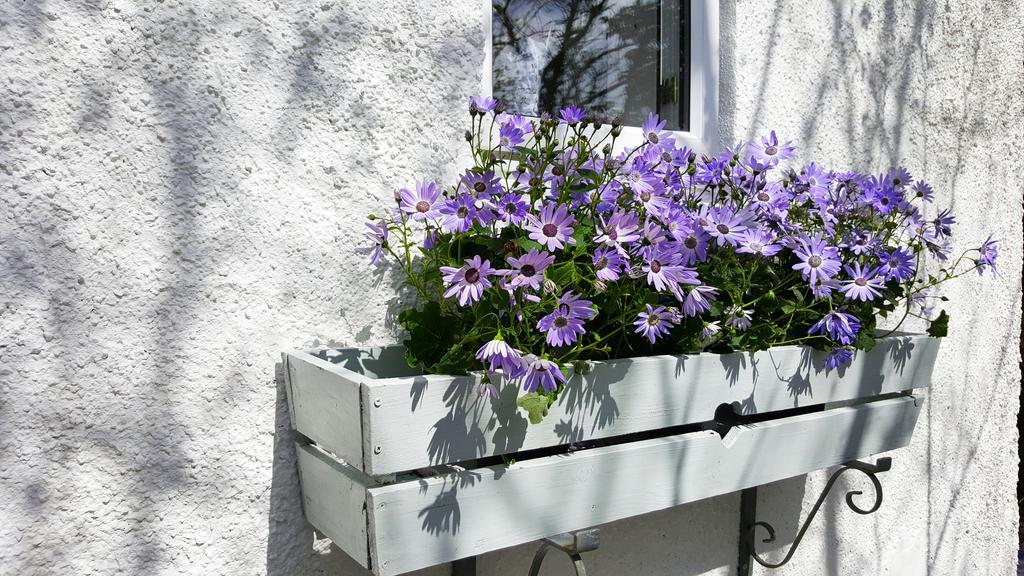 Elmbank Garden Apartment Oban Buitenkant foto